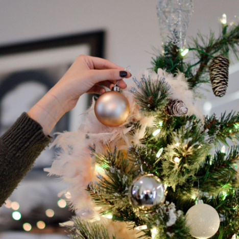The Ultimate Guide to Clean and Fresh Christmas Trees: Making Informed Purchases