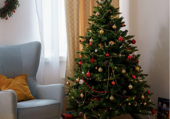 The Ultimate Guide to Clean and Fresh Christmas Trees: Making Informed Purchases