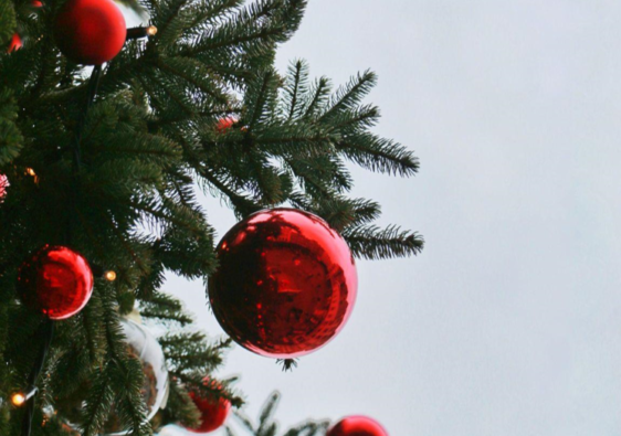 Christmas Barn Wedding Amidst Natural Beauty in Fort Myers