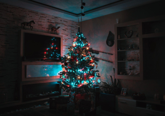 The Healing Power of Flocked Christmas Trees with Lights