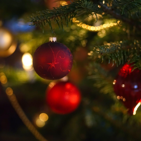 The Healing Power of Flocked Christmas Trees with Lights