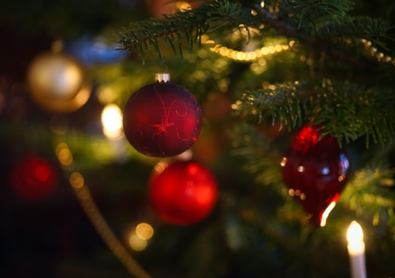 Christmas Trees on Sale: Find Your Perfect Tree