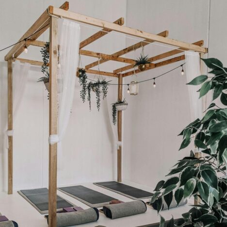 Affordable Christmas Trees to Brighten Your Holiday